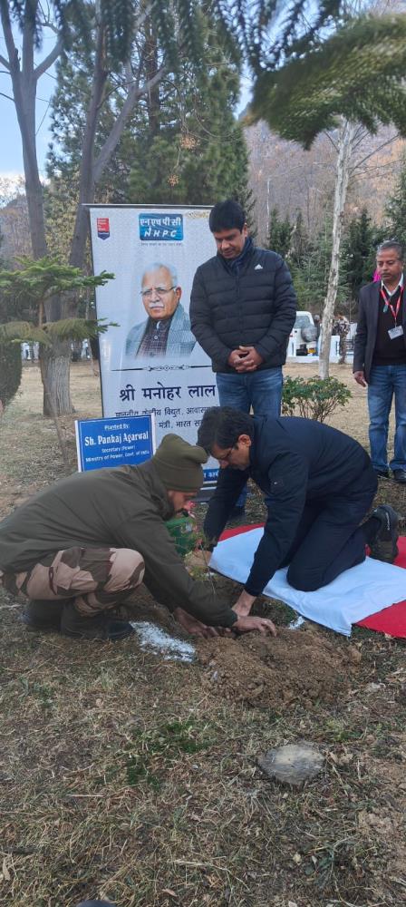 Plantation Drive