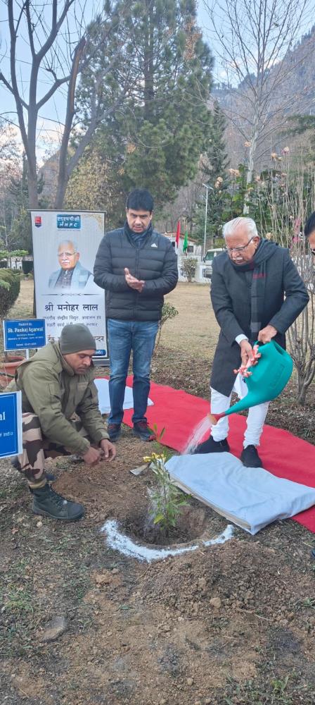 Plantation Drive