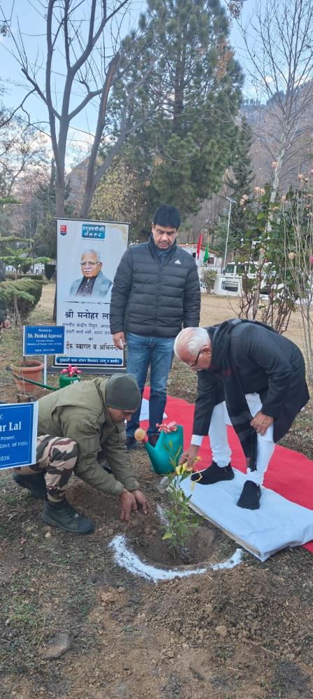 Plantation Drive